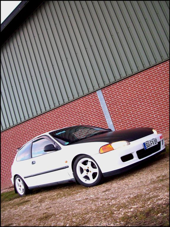 daily 2 26.02.2010 (Large).JPG