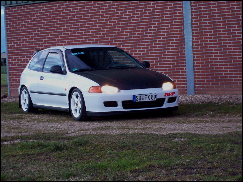 daily 3 26.02.2010 (Large).JPG