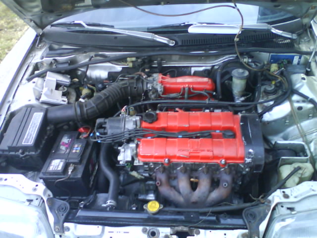 DSC00154.JPG