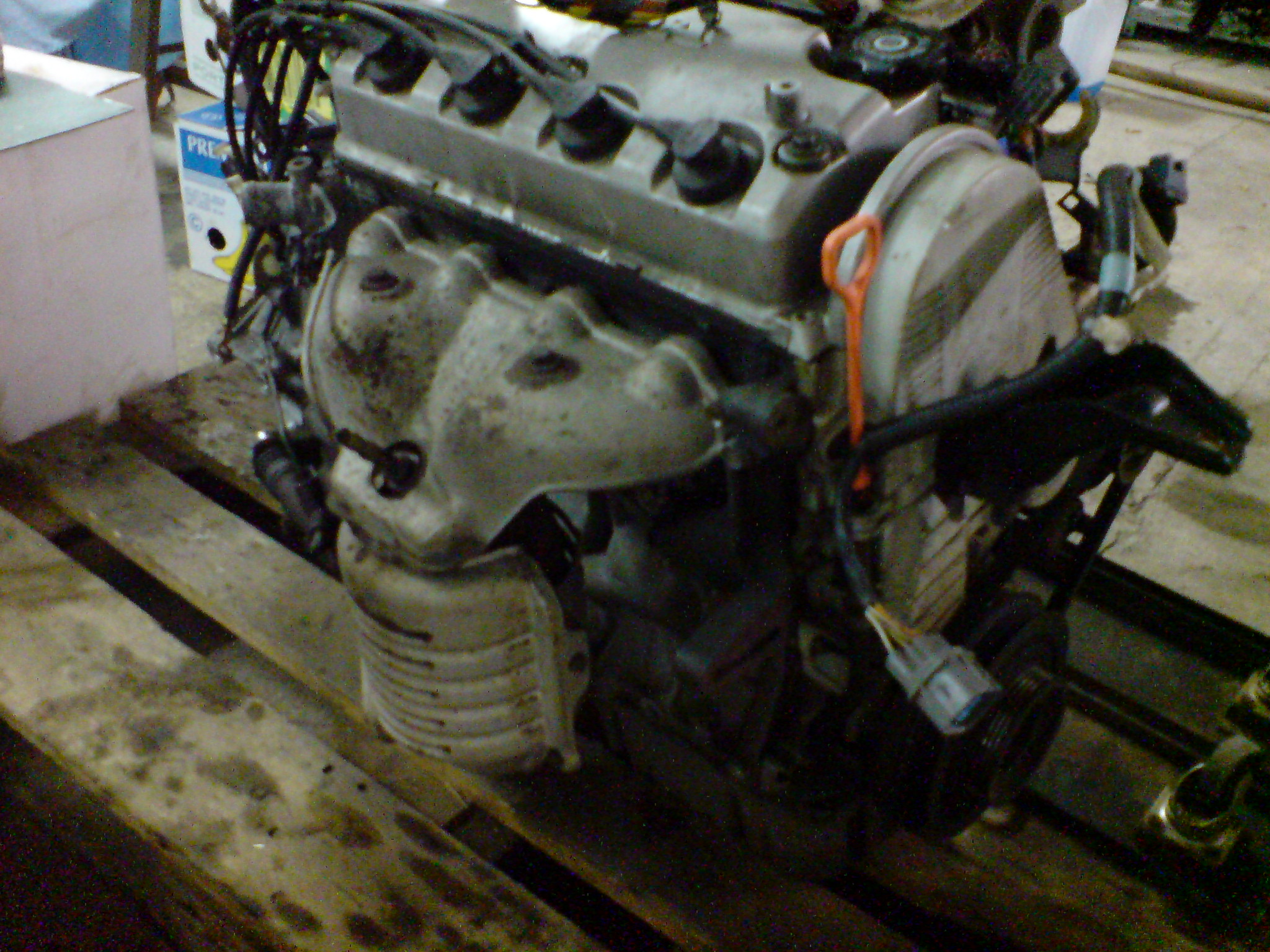 DSC01088.JPG