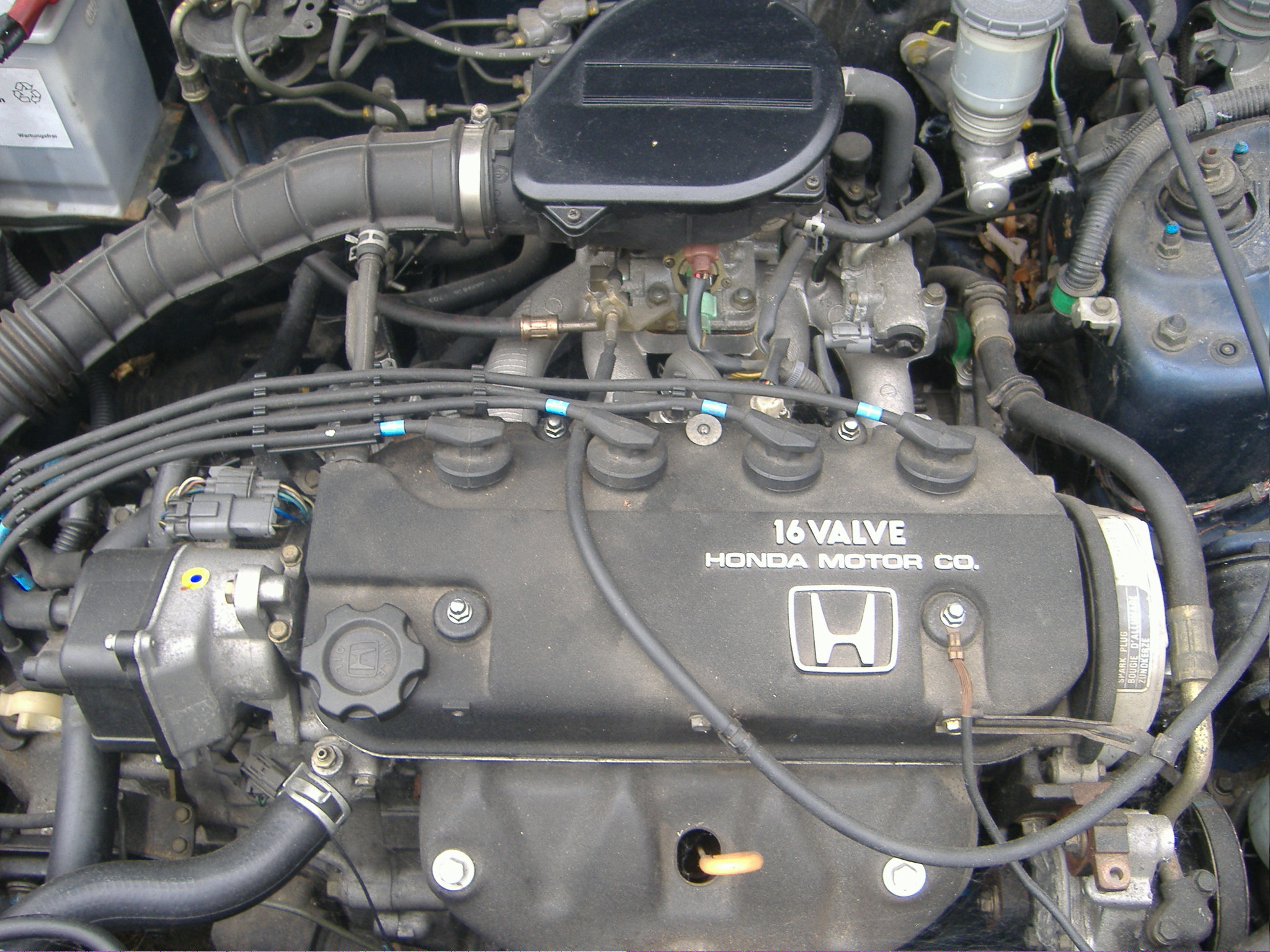 eg8_blau_4.jpg
