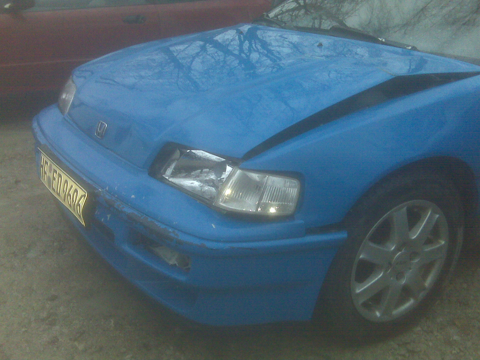 IMG00583.jpg