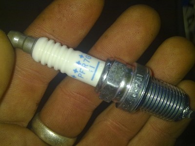 Bild278.jpg