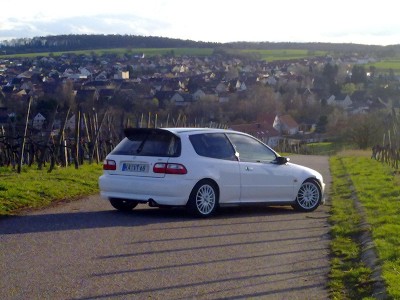 Bild315.jpg