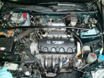 CIMG0816.JPG