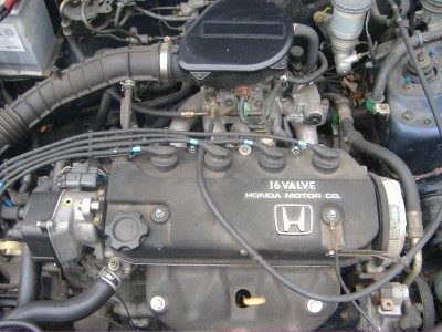 eg8_blau_4.jpg