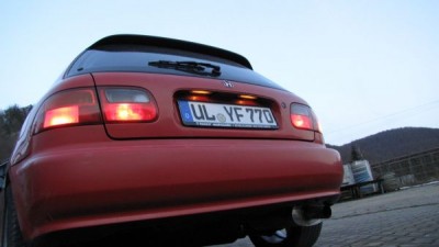 IMG_0040_600_337.jpg