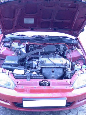 Motorraum.jpg