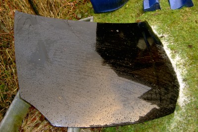 SV300001.JPG