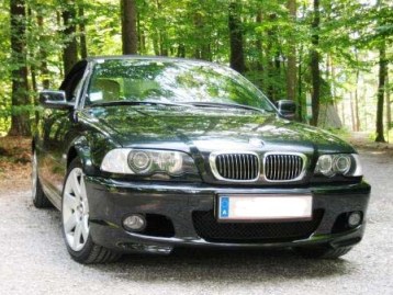 Wald%20front%20seitlich3.jpg