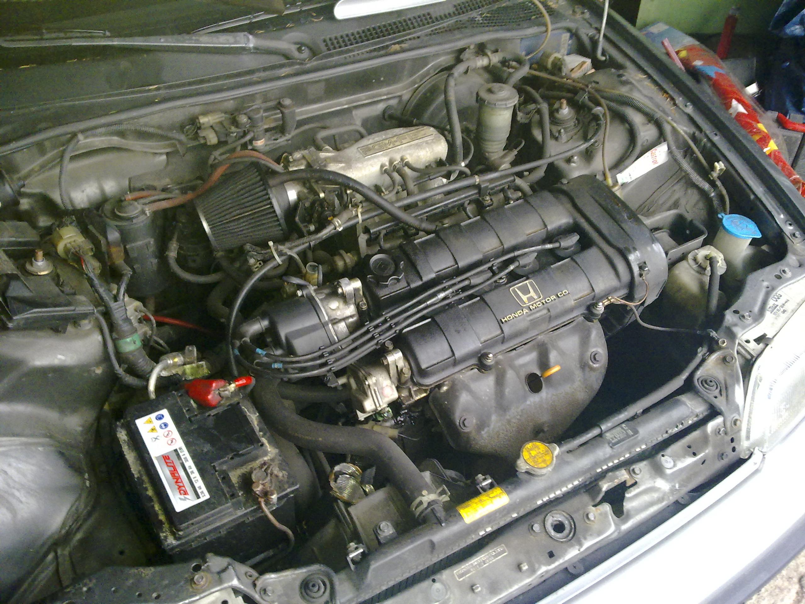 03042010062.jpg