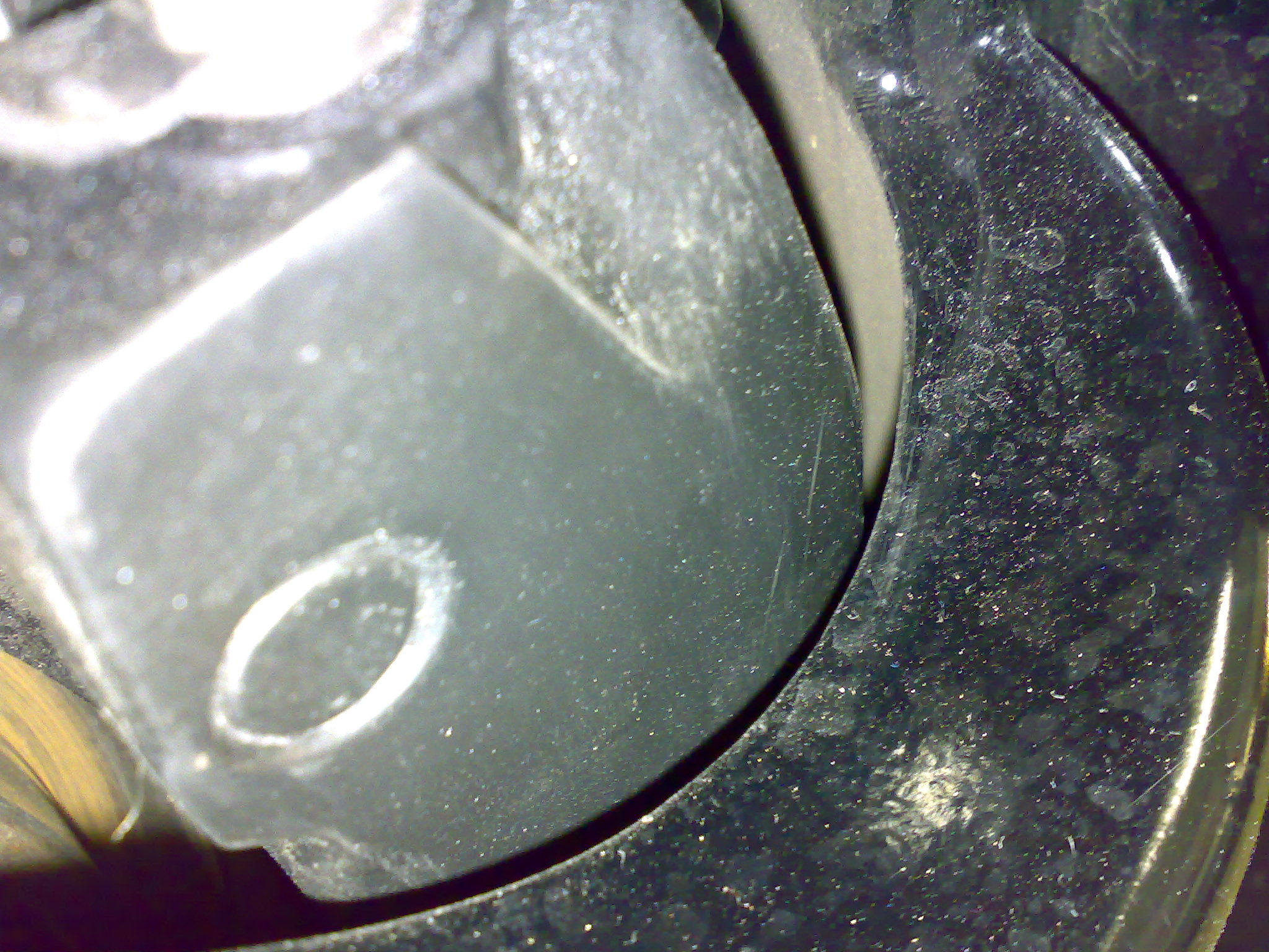 11042010933.jpg