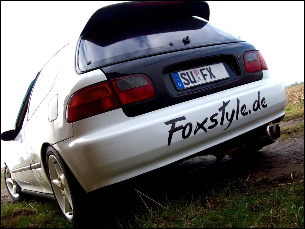 23.03.2010 001 (Large).JPG