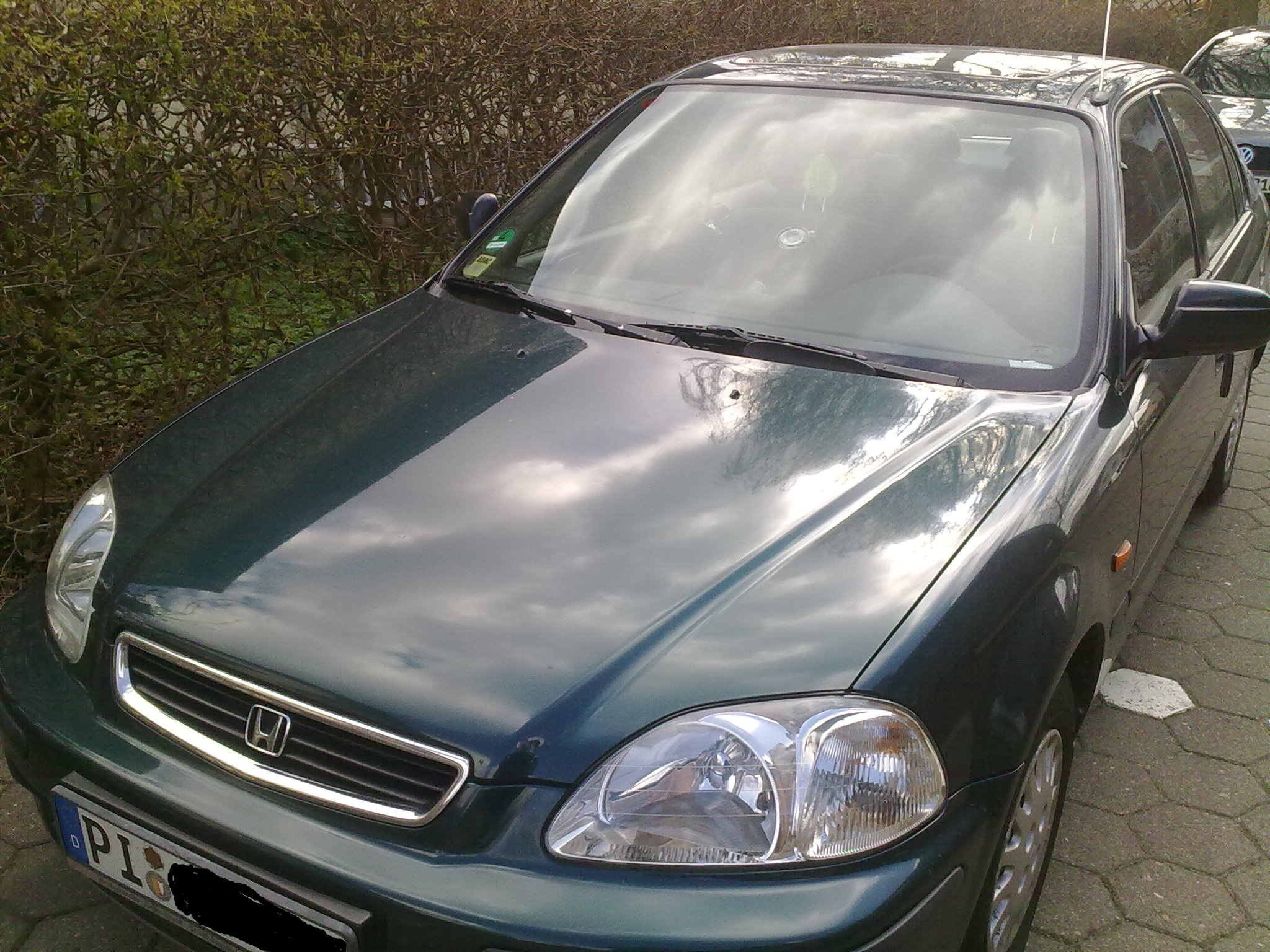 auto 006.jpg