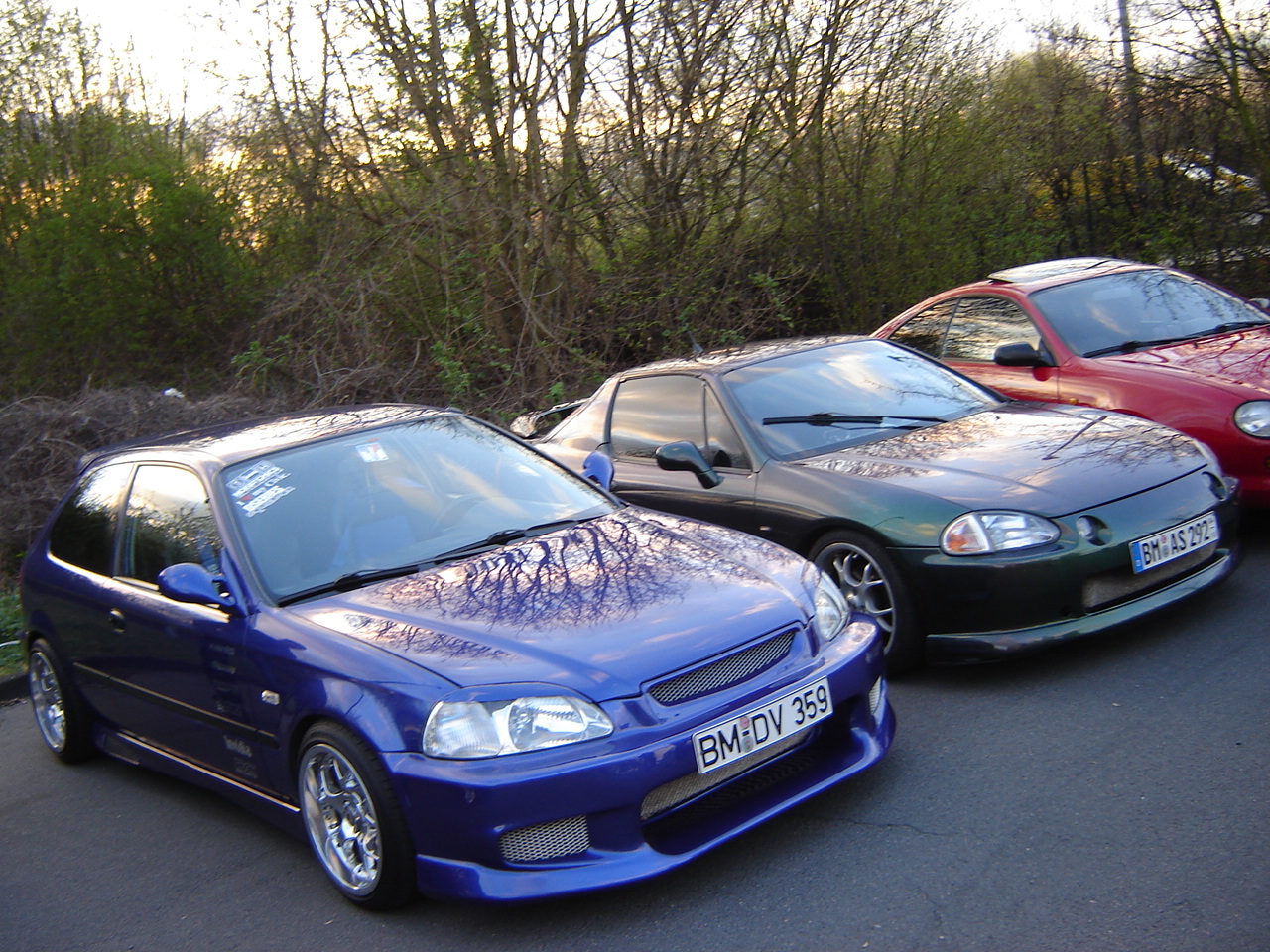 DSC08545.JPG