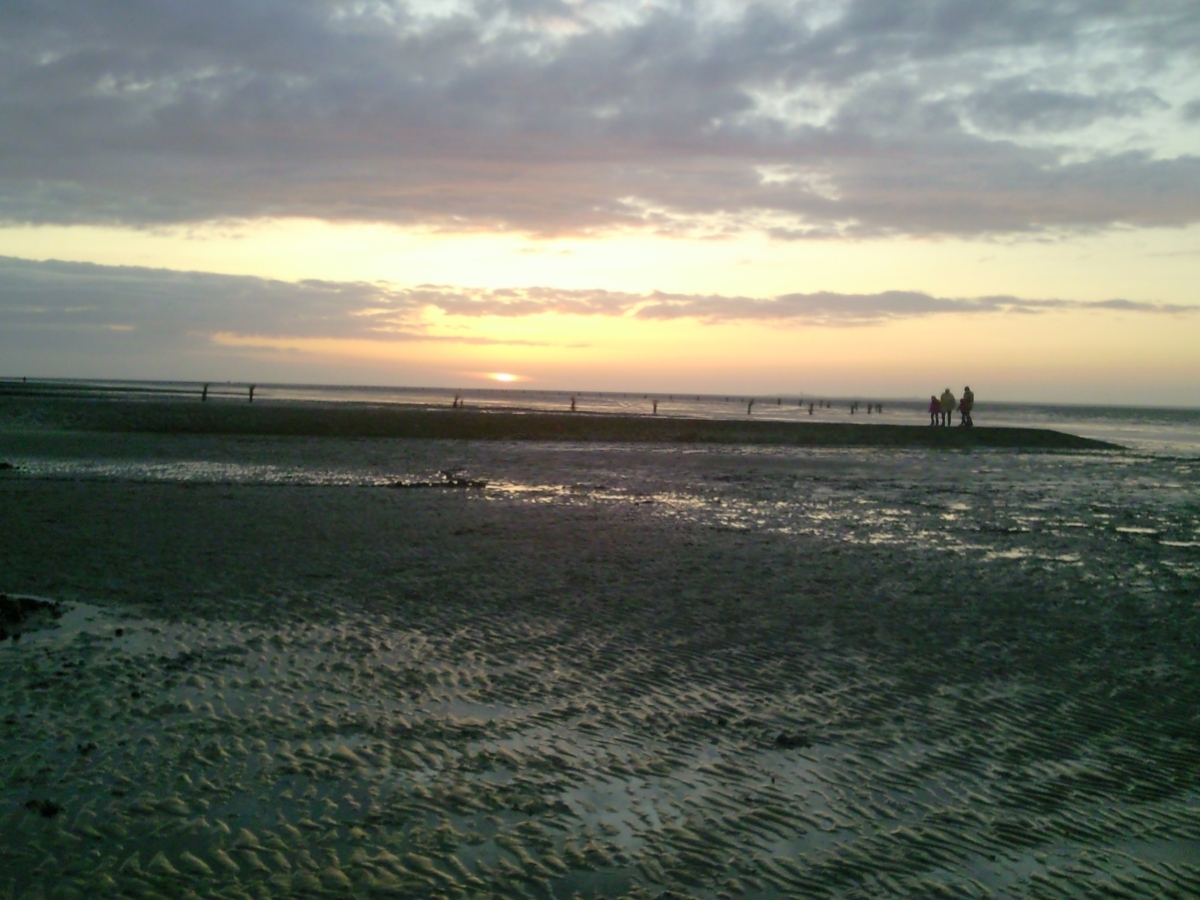 Foto0127.jpg