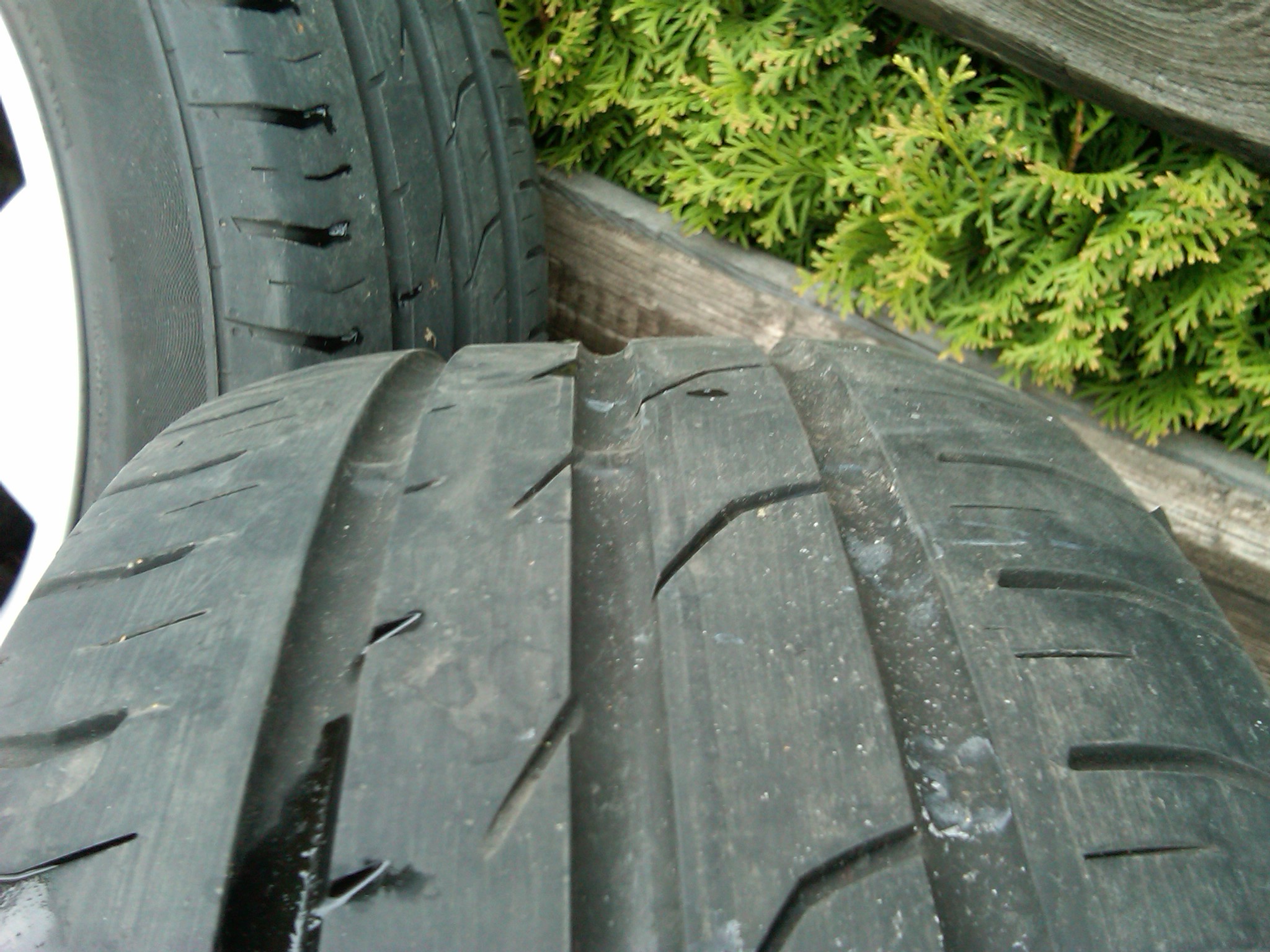 IMG00025-20100410-1501.jpg