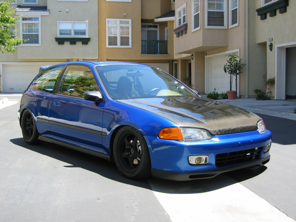 img02036cj.jpg