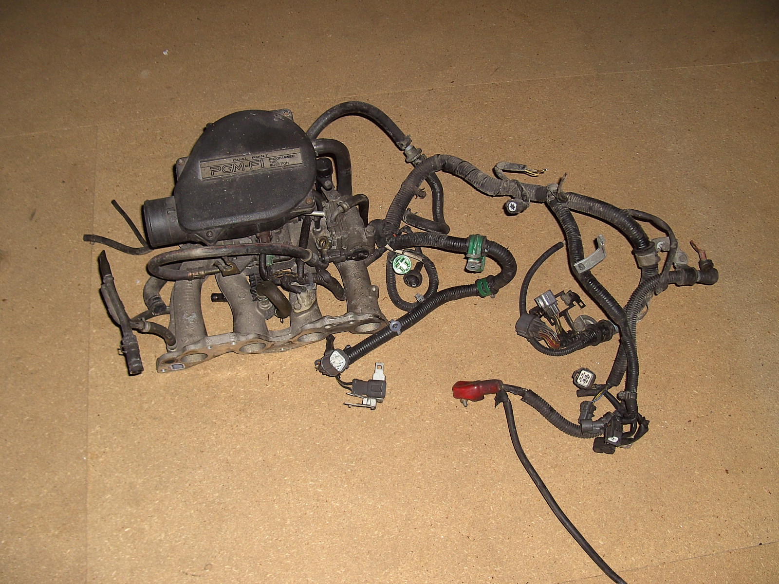 PICT3485.JPG