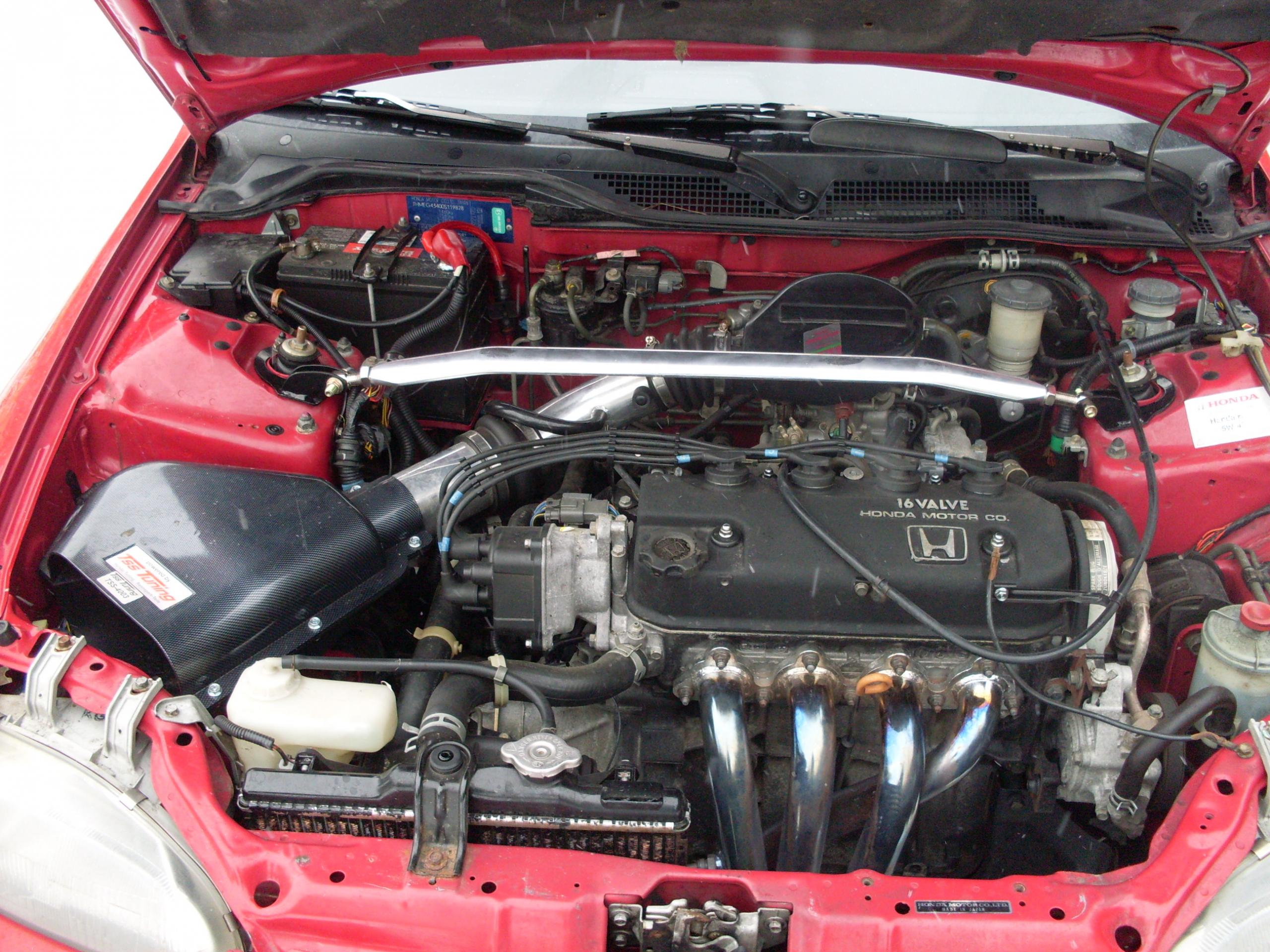 SDC10498.JPG