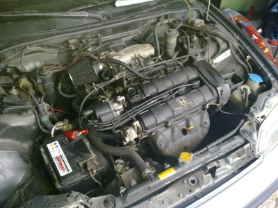 03042010062.jpg