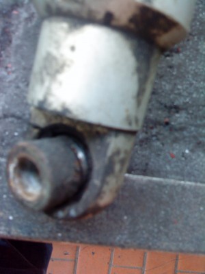 DSC00543.jpg