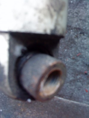 DSC00544.jpg