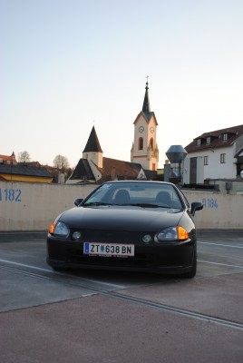DSC_0117.jpg