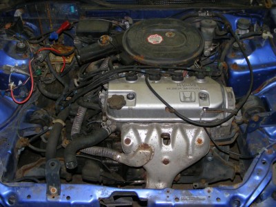 eg3 2.jpg