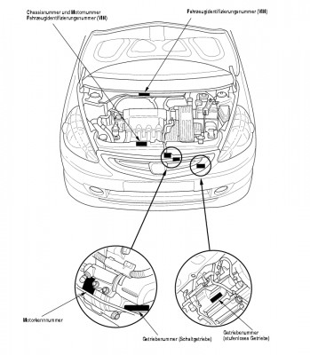 group14l.jpg