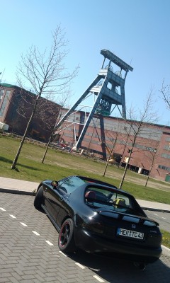 IMAG0120.jpg