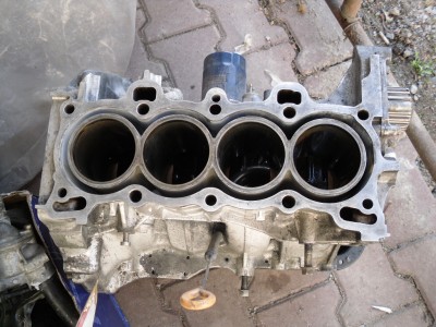 SDC10488.JPG