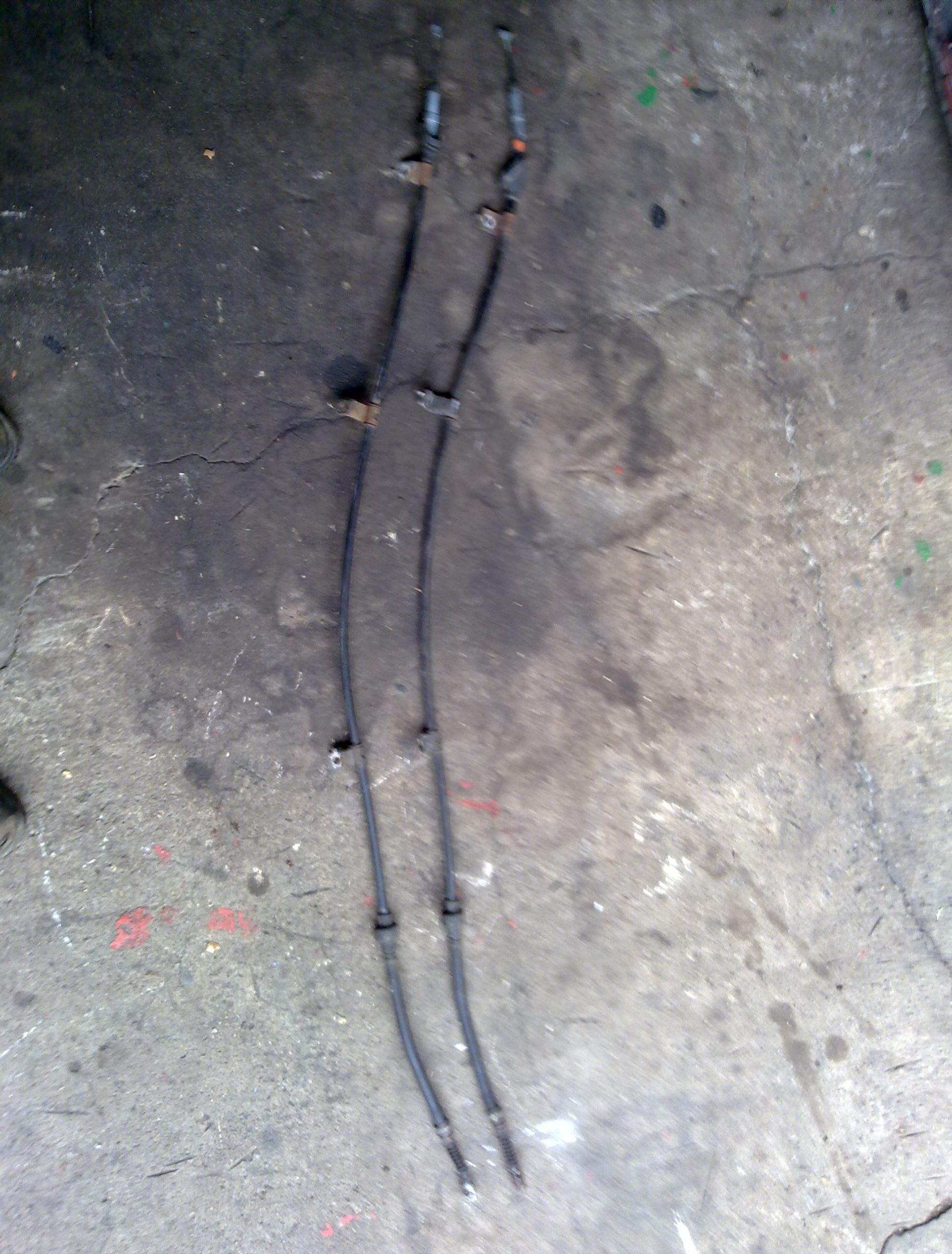 03052010077.jpg