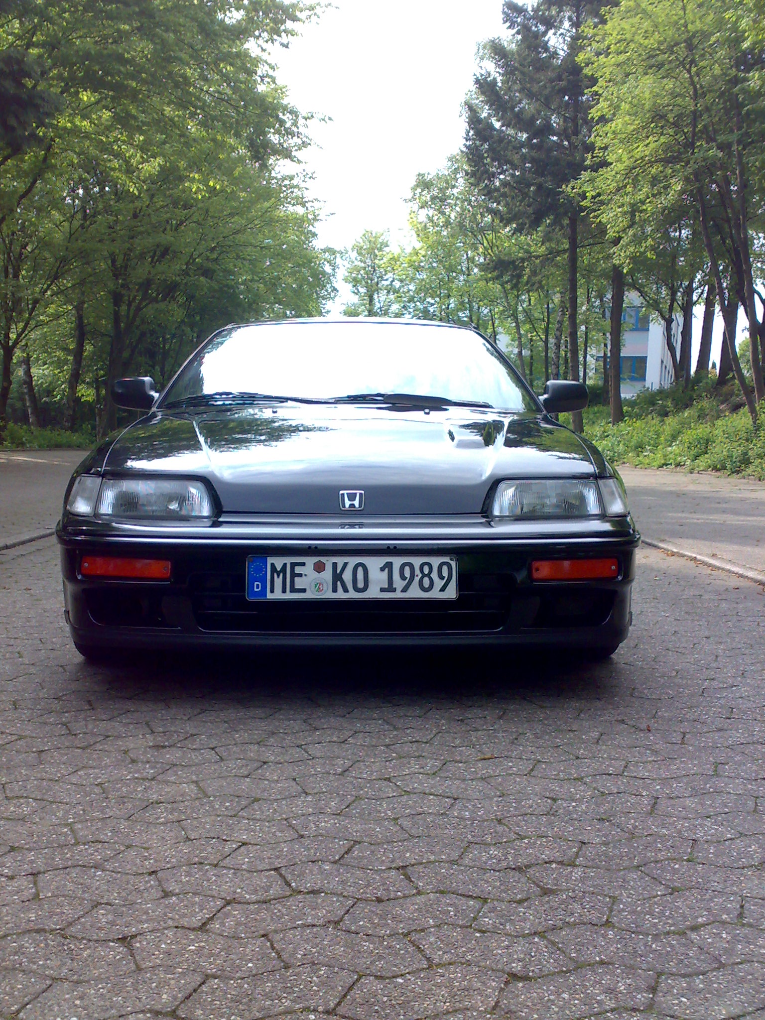 15052010917.jpg