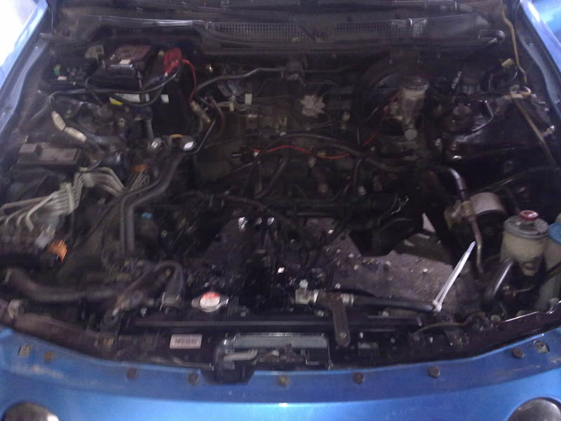 22052010085.jpg