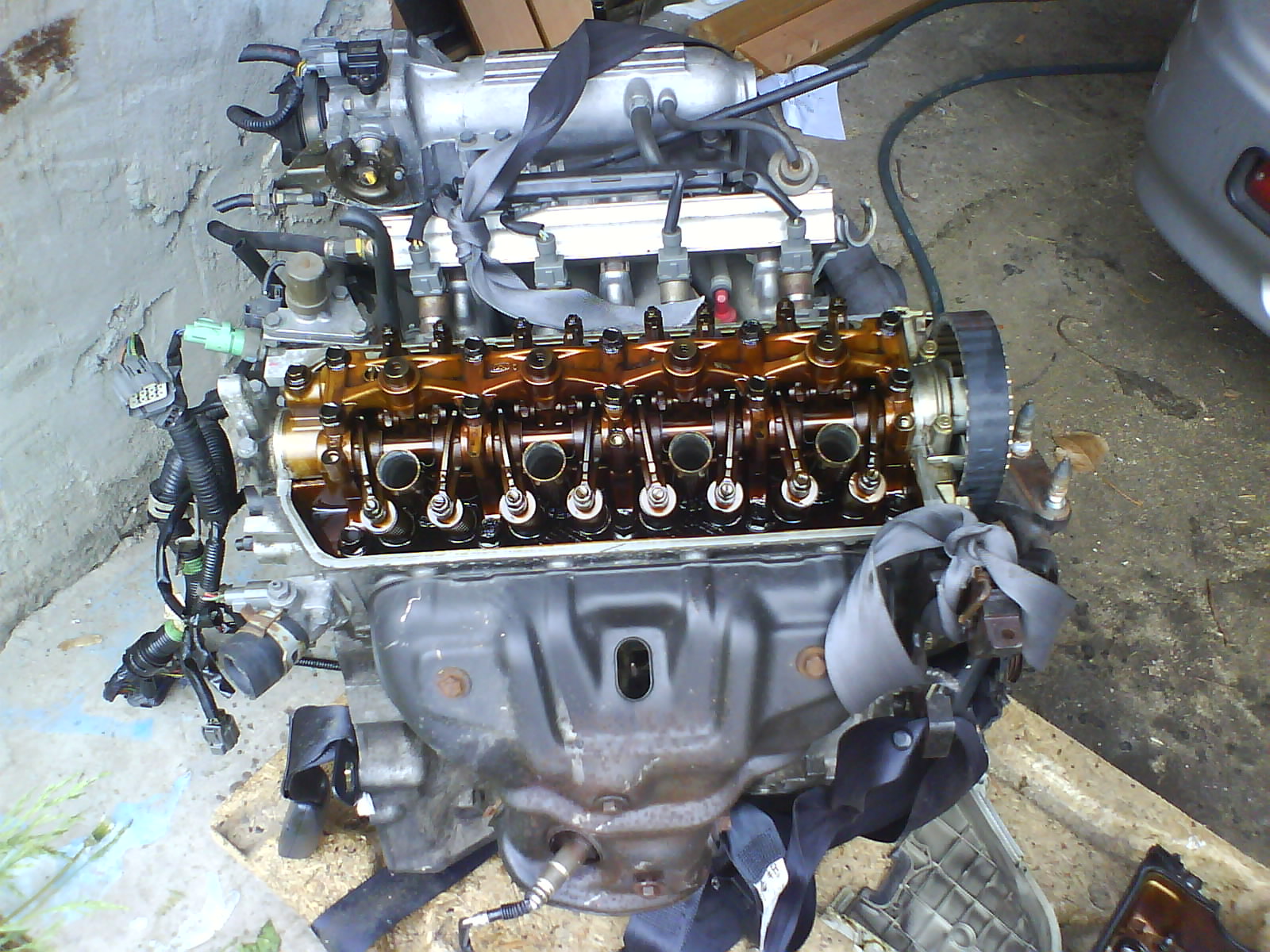 DSC00272.JPG