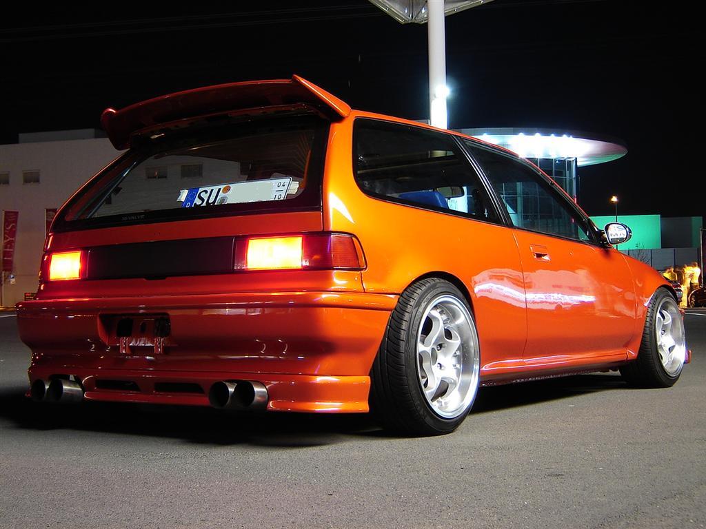 dsc06098 (Large).jpg