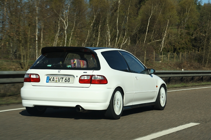 IMG_5125.jpg