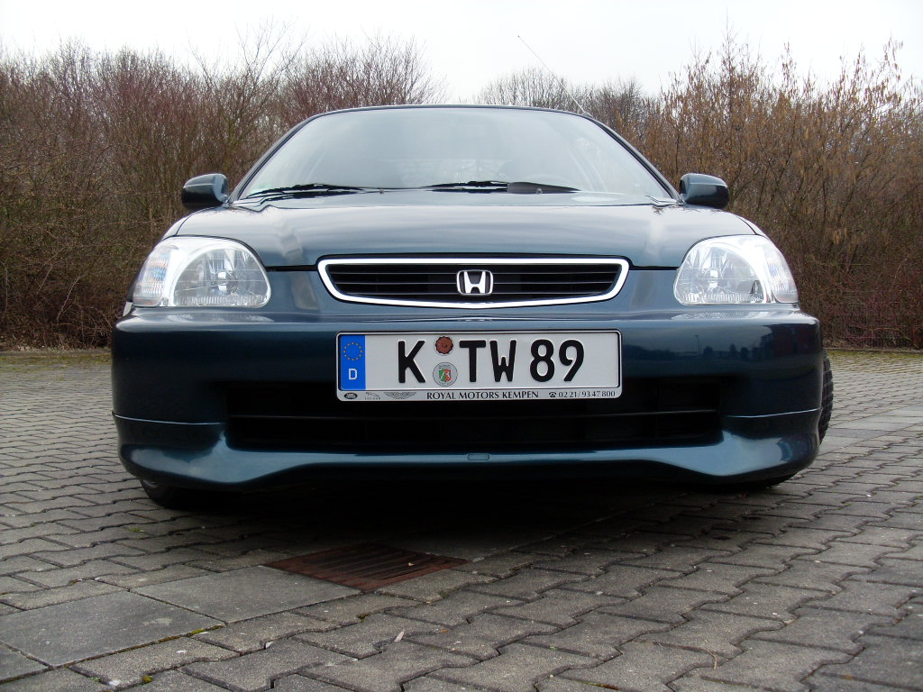 SL380058.JPG
