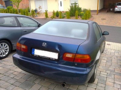 11052010031.jpg