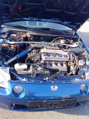 2010-04-26 0221.JPG