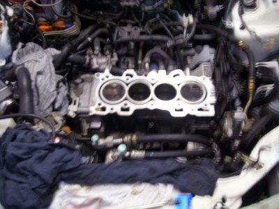DSCI0175kl.jpg