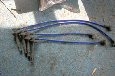 SV300011.JPG