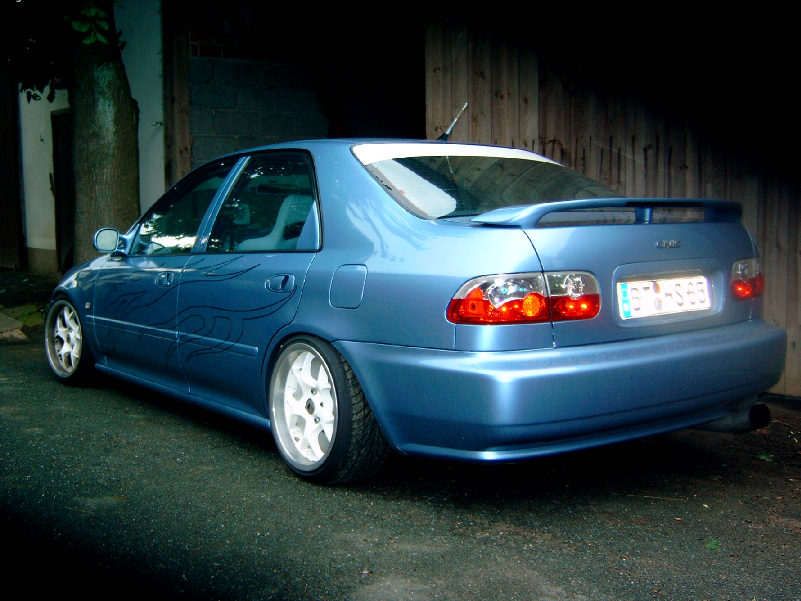 Y4110212.JPG