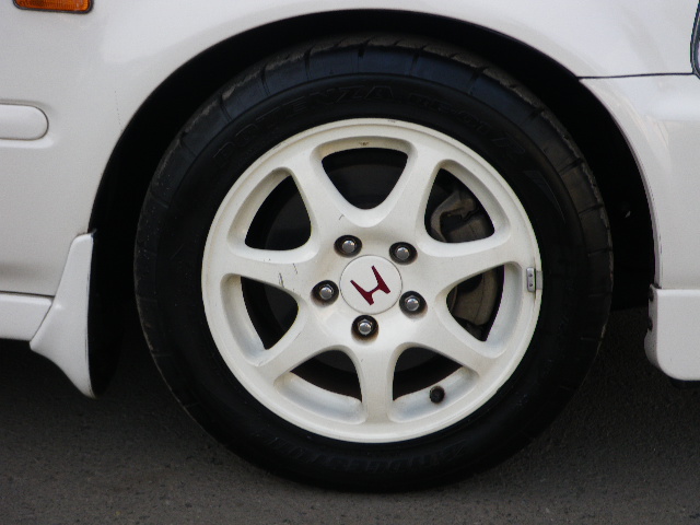 48602392n4.jpg