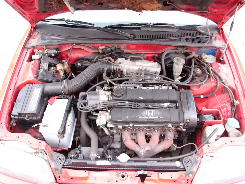 f106t6304p3051228n3.jpg