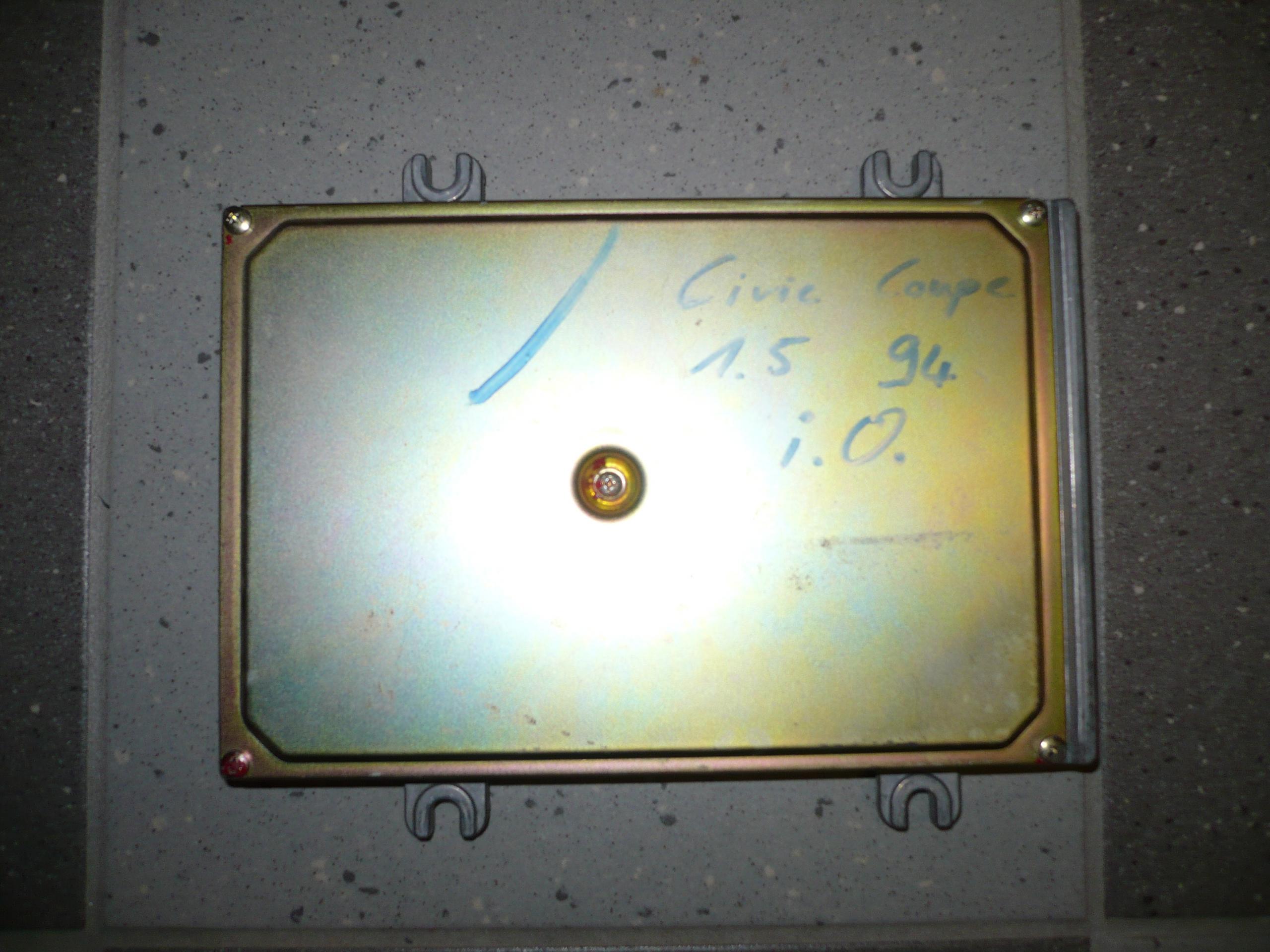 P1010472.JPG