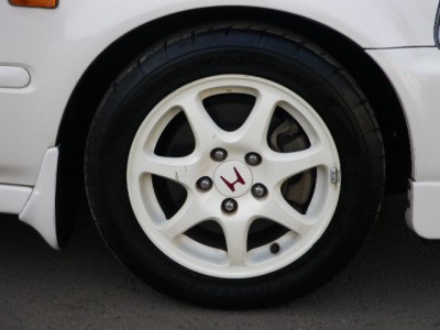 48602392n4.jpg