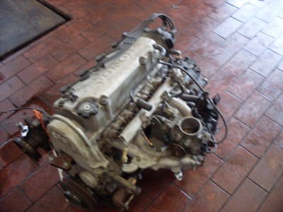 SDC10292.JPG