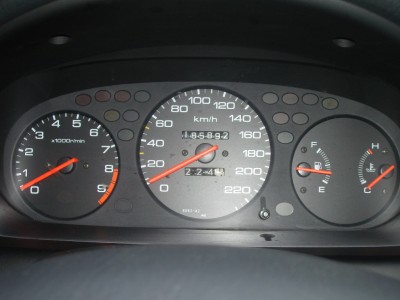 SDC14281.JPG